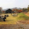 Thumbnail of new posts 146