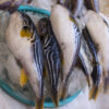 Thumbnail of new posts 077