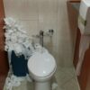 Thumbnail of new posts 041