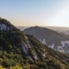 Thumbnail of new posts 100