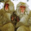 Thumbnail of new posts 177