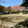 Thumbnail of new posts 167