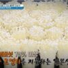 Thumbnail of new posts 095