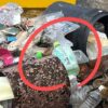 Thumbnail of new posts 029