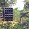 Thumbnail of new posts 039