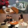 Thumbnail of new posts 085