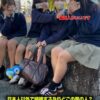Thumbnail of new posts 052