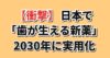 日本で歯が生える新薬・2030年に実用化