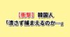 日本のゴキブリ捕獲グッズに韓国の反応