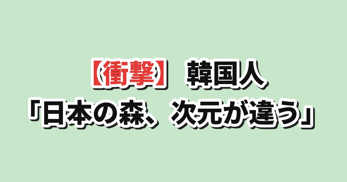 日本の森 韓国の反応