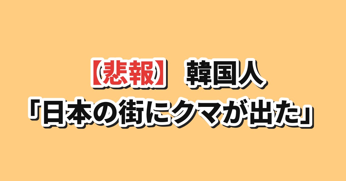 日本の街中にクマが出没
