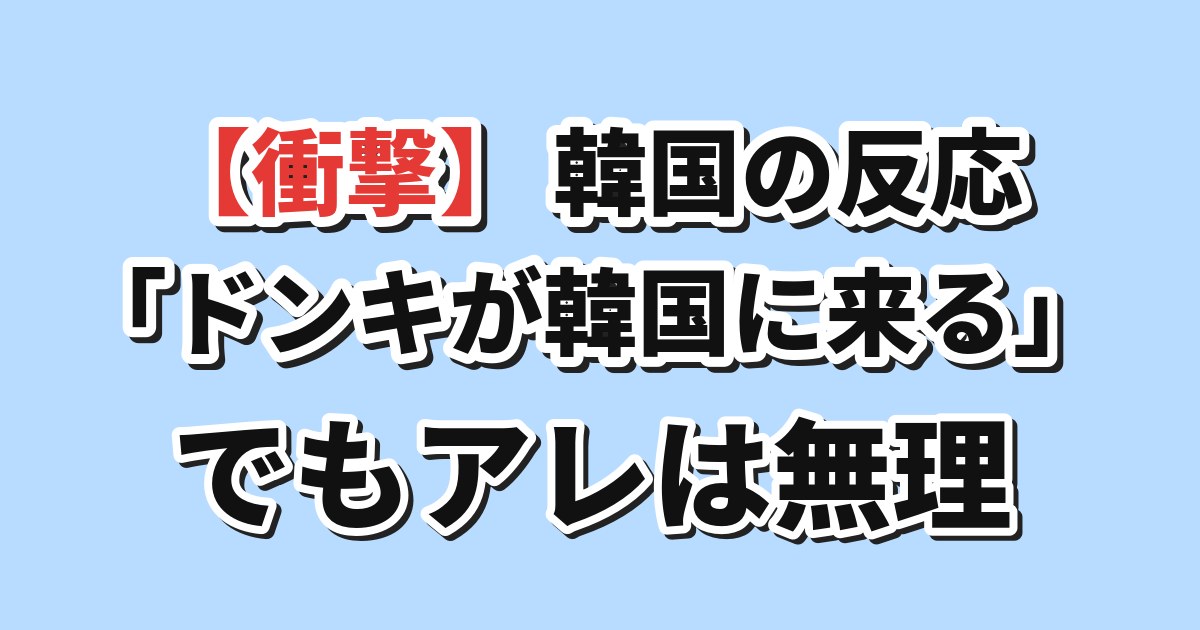 【衝撃】韓国の反応「ドンキが韓国に来る」でもアレは無理