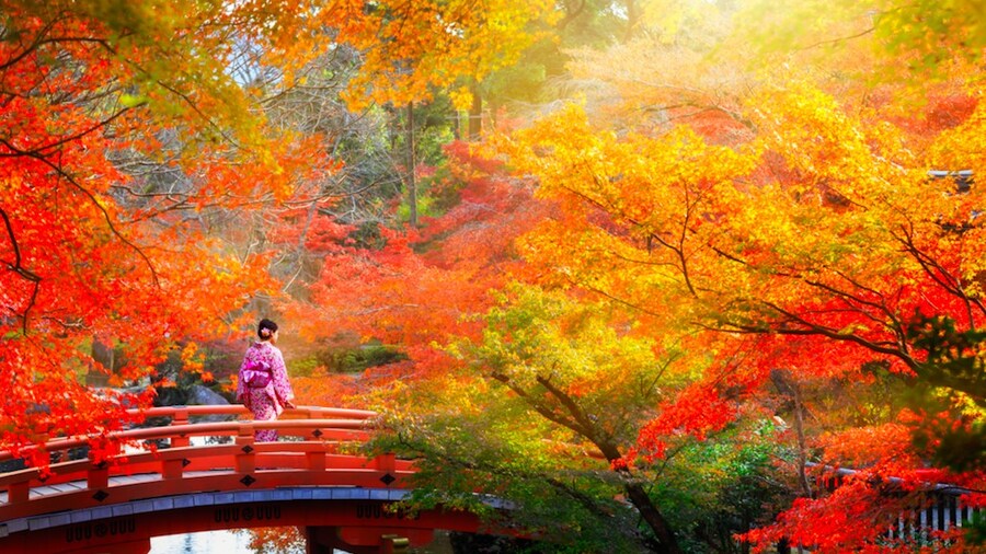 京都の紅葉 2