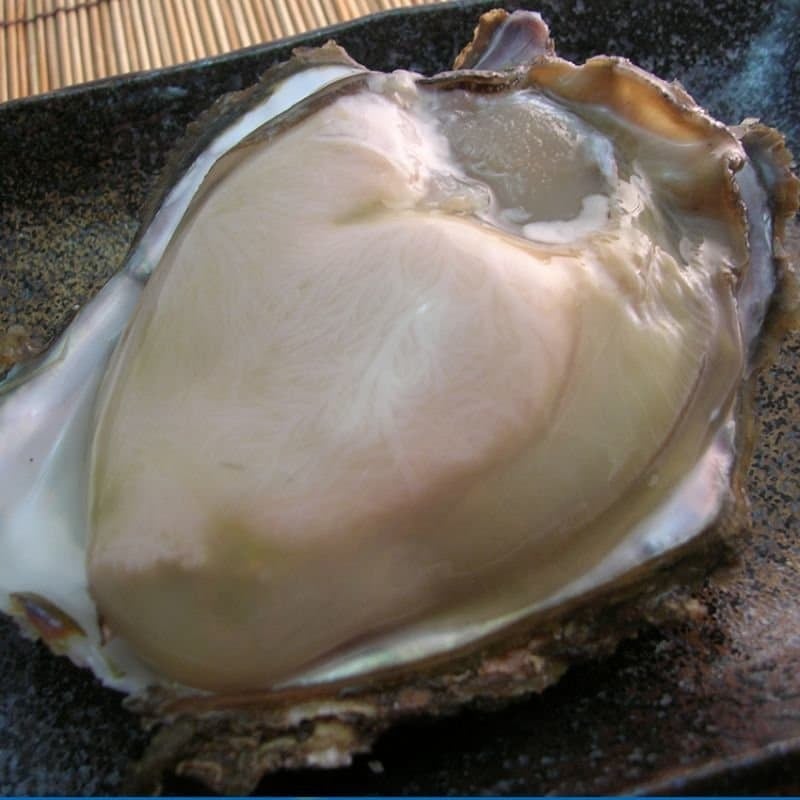 韓国の投稿に掲載されたイワガキの写真2