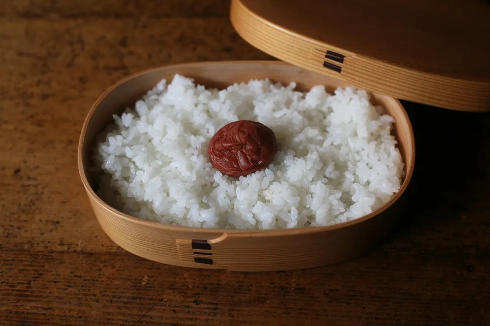 ご飯の真ん中に梅干しがのった日本の弁当