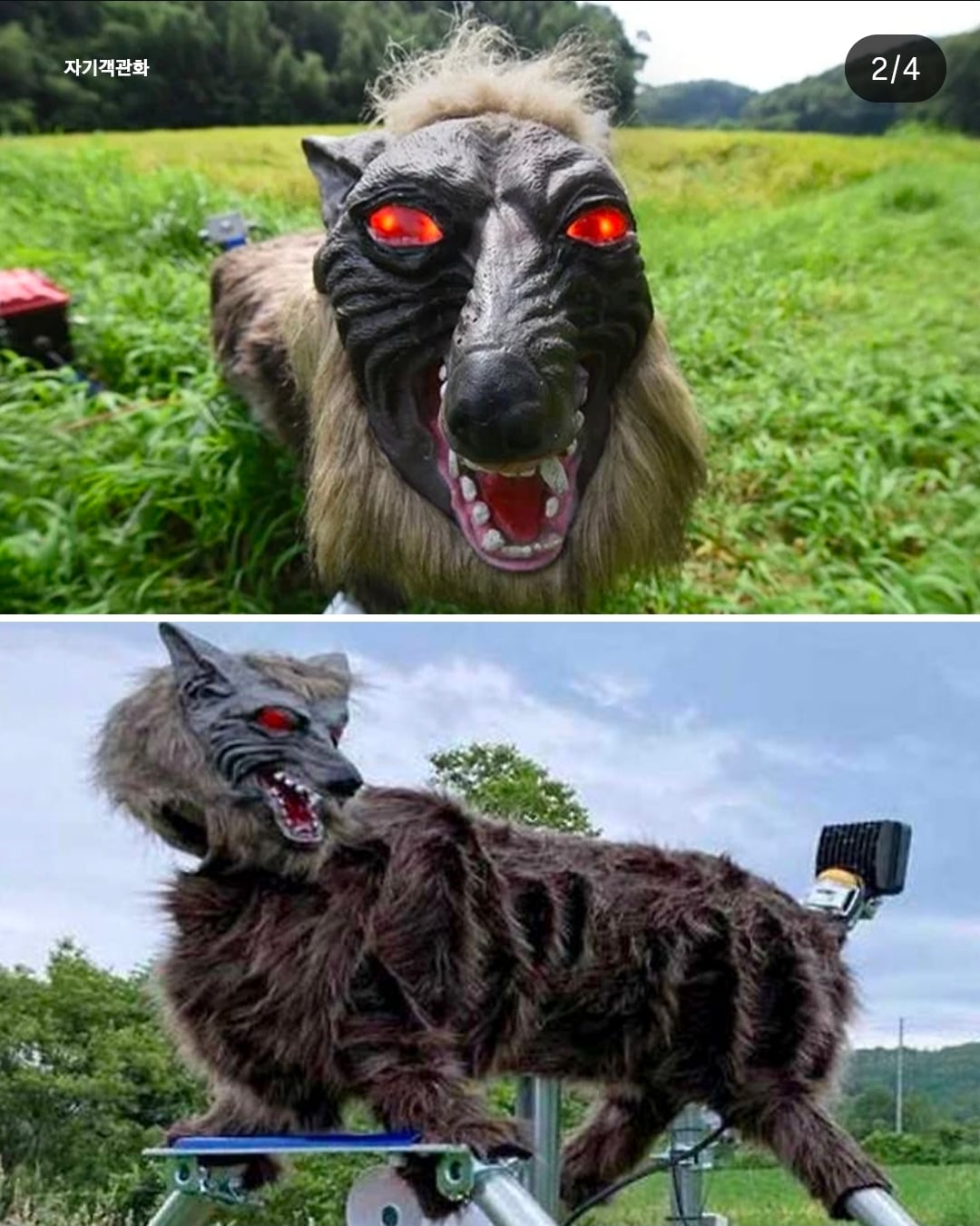赤い目を光らせるロボット狼モンスターウルフ