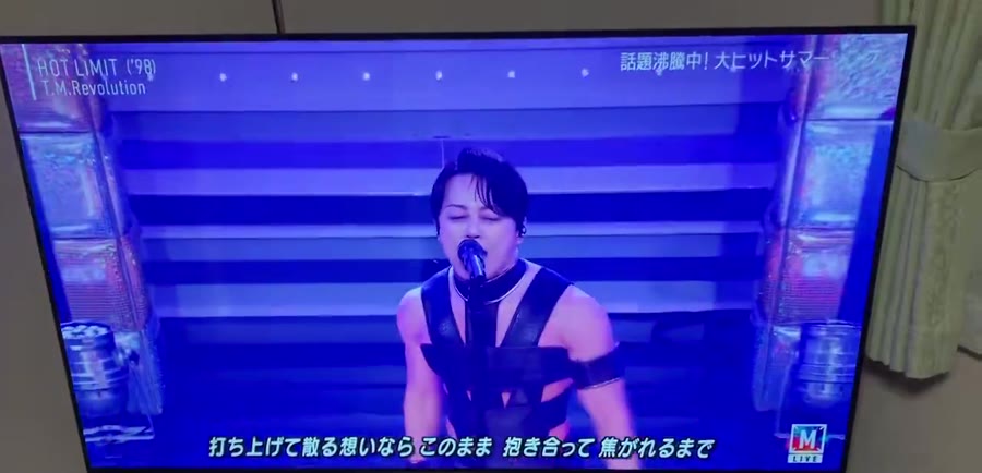 テレビ画面に映る、HOT LIMITを歌うT.M.Revolution