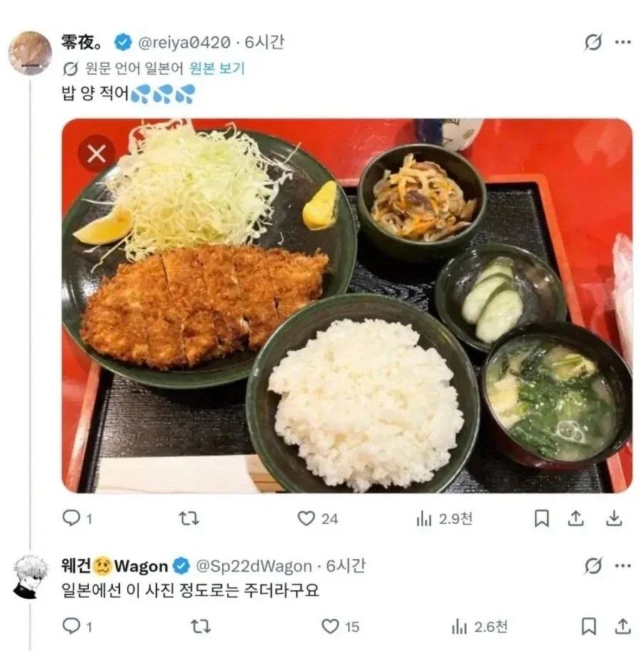 日本のとんかつ定食（比較用）