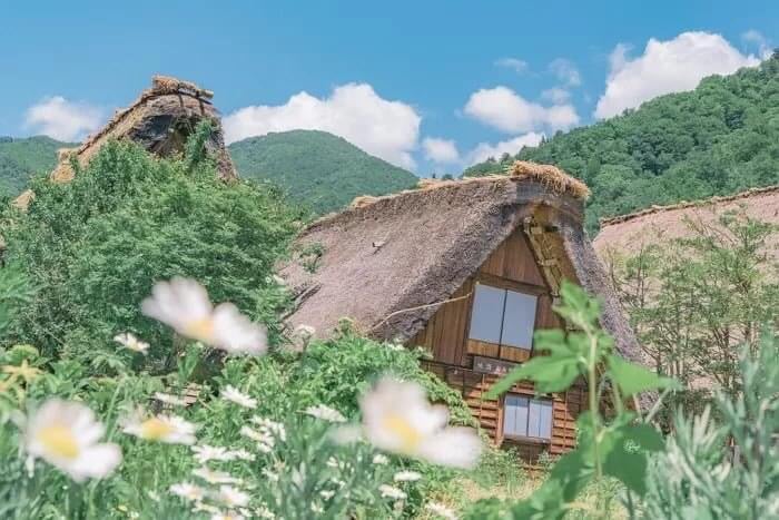 韓国の掲示板で話題になった日本の田舎の風景1