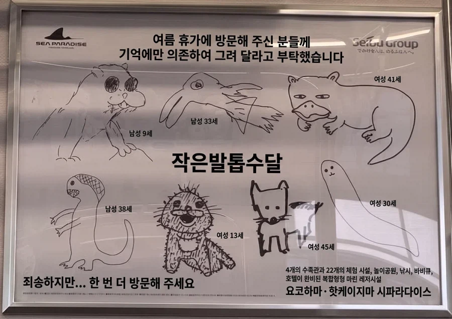 来園者が記憶だけで描いたコツメカワウソを並べた動物園広告