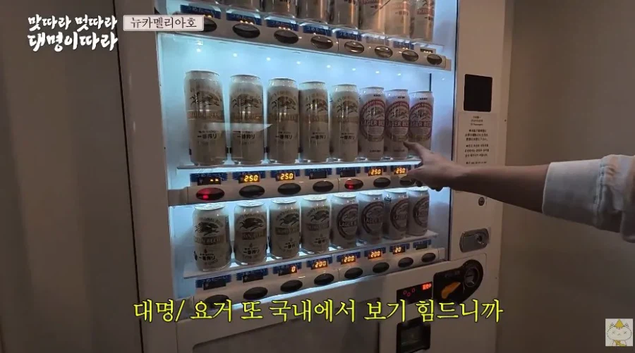 引用元投稿の資料 7