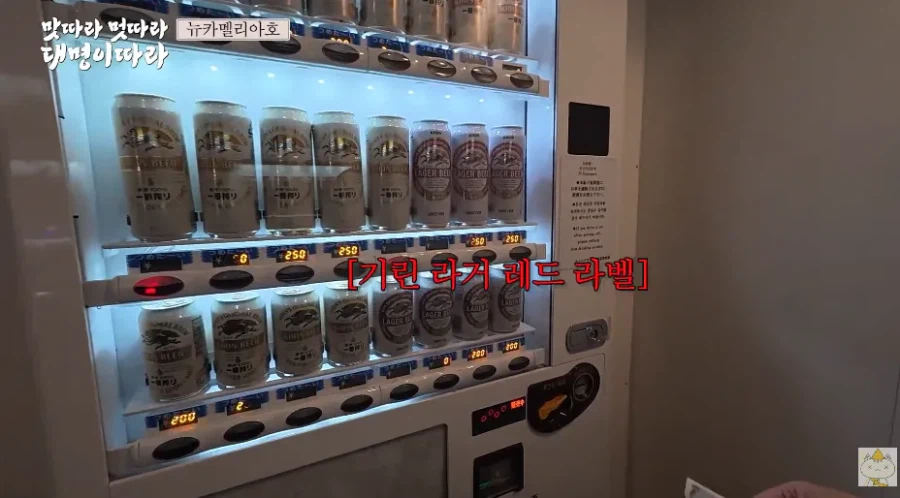 引用元投稿の資料 8