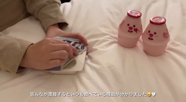 引用元投稿の資料 8
