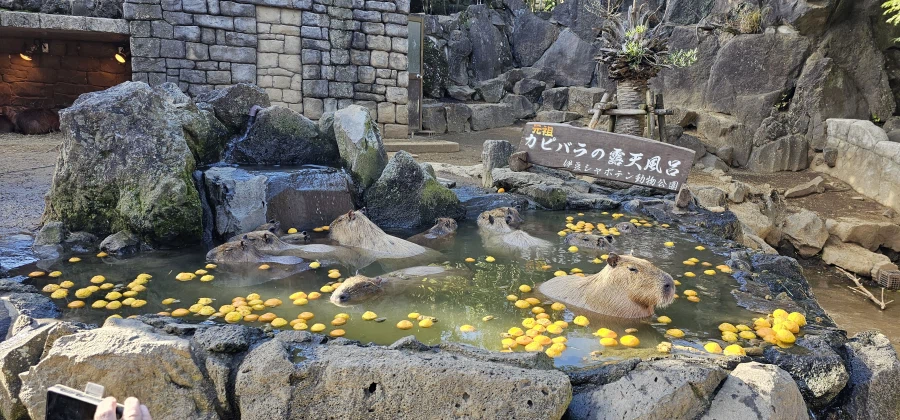静岡県伊東市のハトヤホテルの投稿画像15