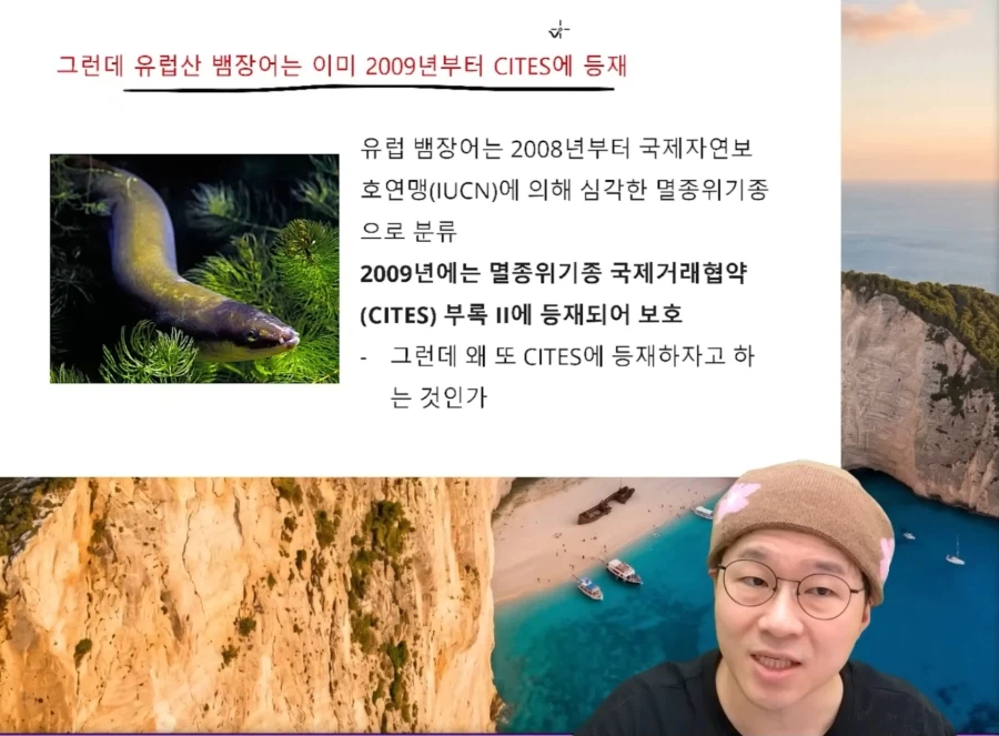 ウナギの国際規制に関する引用元画像 3