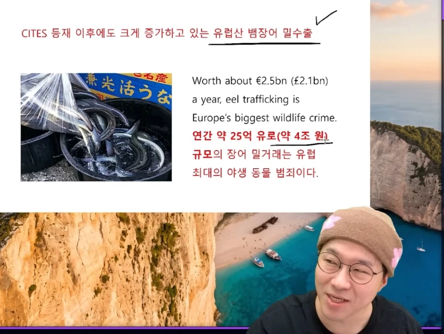 ウナギの国際規制に関する引用元画像 4