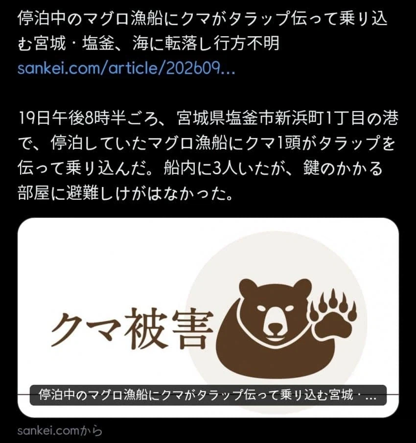 宮城県の港でクマがマグロ漁船に乗り込んだことを伝える画面