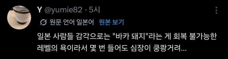 日本語と韓国語のバカの受け取り方を比べる引用元画像4