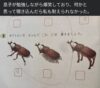 ruliweb-70248815 の元記事に掲載された媒体 1