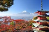ruliweb-77014705の元記事メディア1