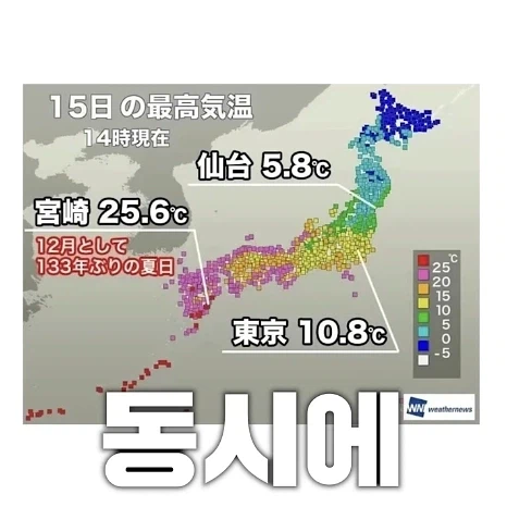 ruliweb-77071884 の元記事媒体 2